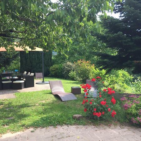 Gite Le Vieux Ruisseau Sauna Et Massages Lapoutroie Dış mekan fotoğraf
