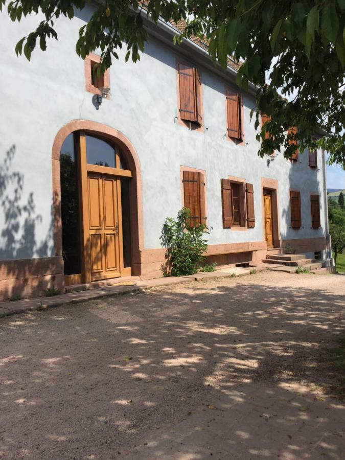 Gite Le Vieux Ruisseau Sauna Et Massages Lapoutroie Dış mekan fotoğraf